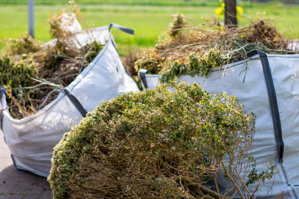 Best Affordable Junk Removal Services  in Elk Rapids, MI