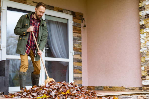 Debris Removal in Elk Rapids, MI